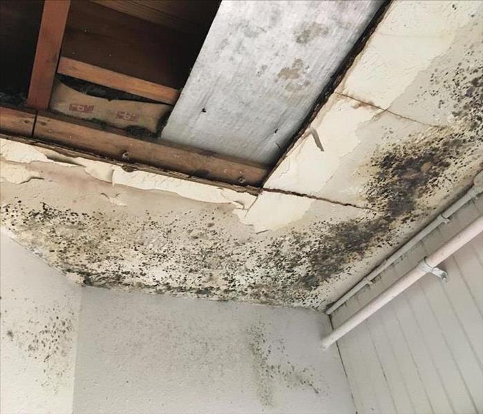black mold on the ceiling of a home