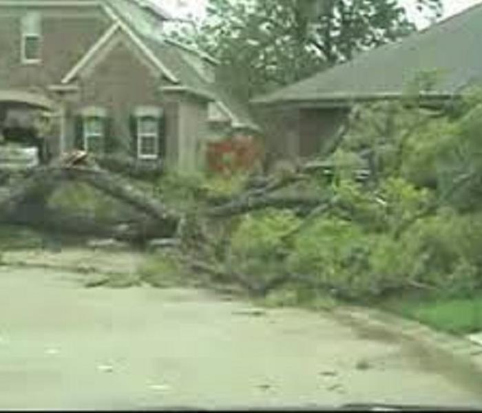 Tree fallen over in front of a home.