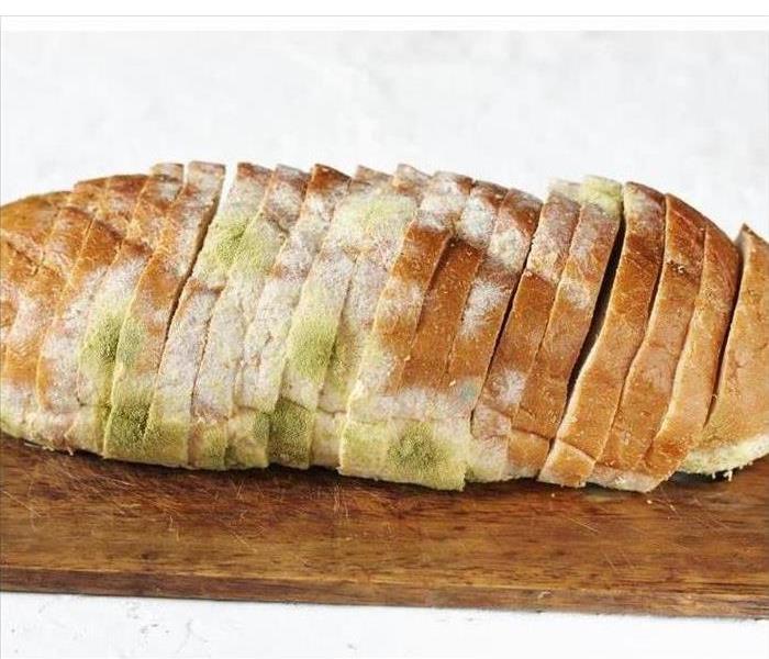 Bread with mold growth